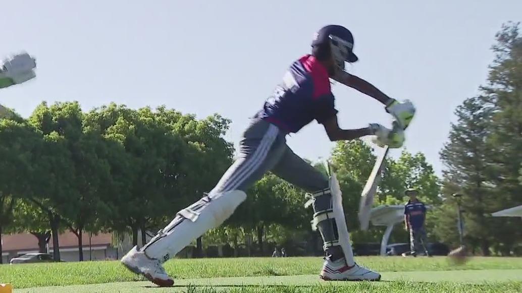 Cricket craze in Cupertino